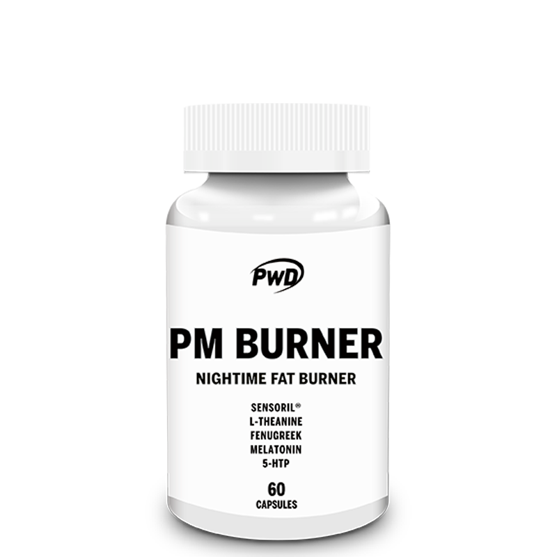 PM BURNER